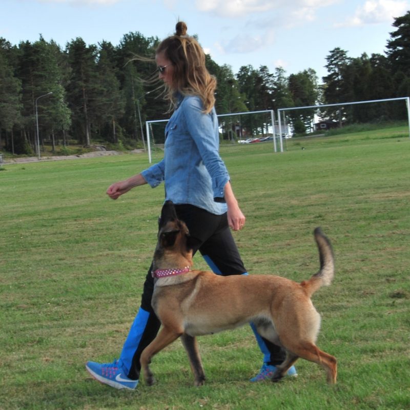 gameonpuppy