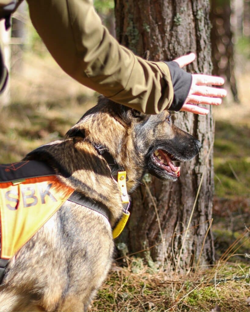 Quest Hundsport personsök